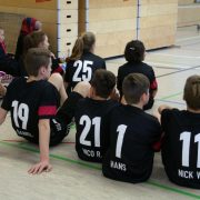 volleyball-turnier-2015_019