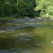 exk-wutach-header