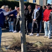 versiegelung-header